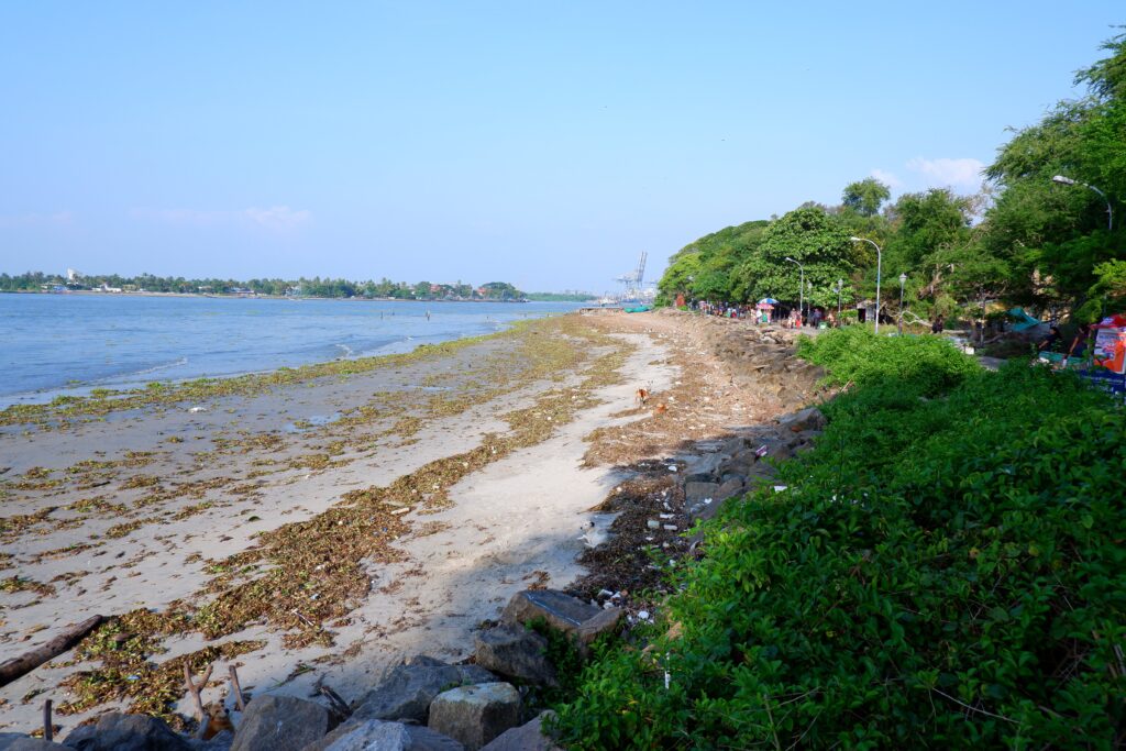 Fort Kochi Beach, Sandbar