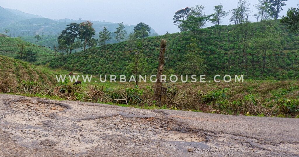 Vagamon, tourism. Bad roads