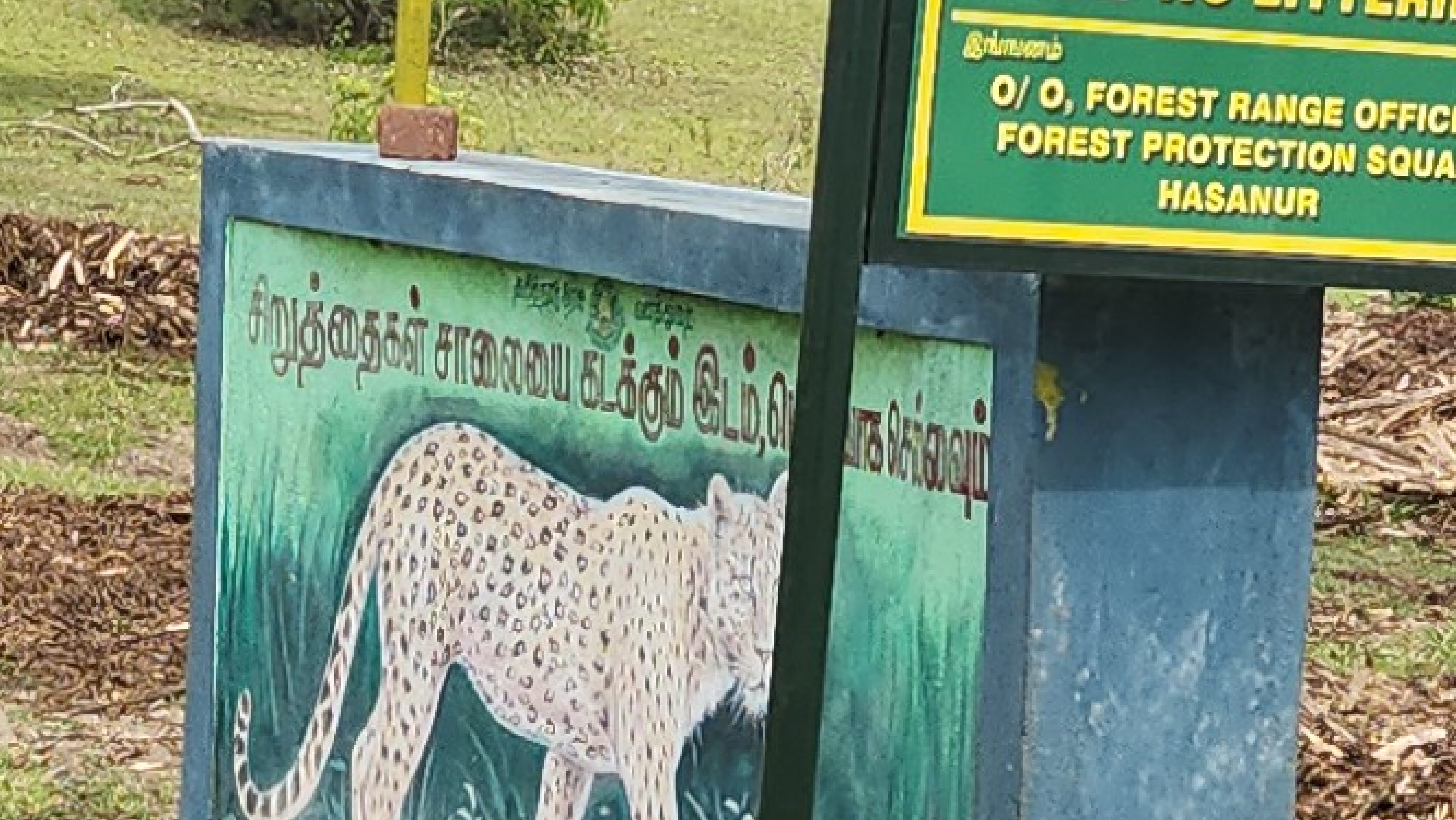 Somewhere near Hasanur after Satyamangala