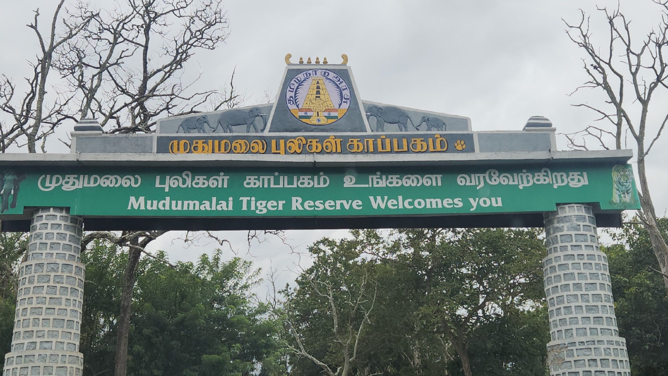 Mudumalai Tiger Reserve